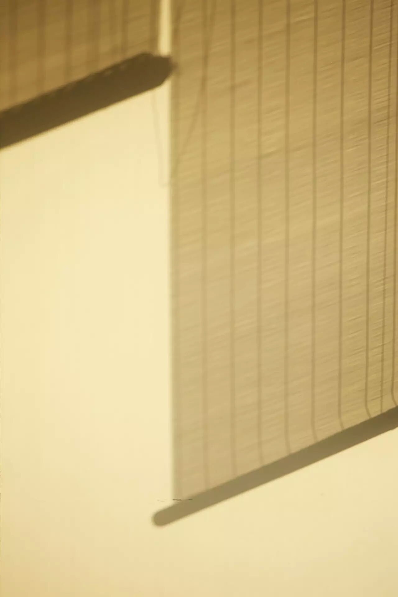 黃豆他大的個(gè)人主頁（背景預(yù)覽） - 主頁背景設(shè)置 - 站酷設(shè)計(jì)師黃豆他大原創(chuàng)素材 - 站酷ZCOOL