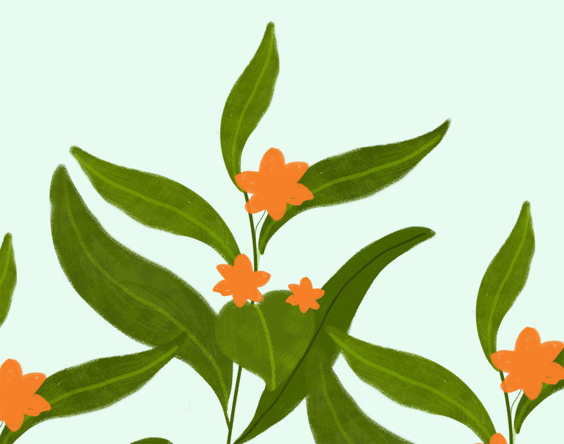 夏客客的个人主页（背景预览） - 主页背景设置 - 站酷设计师夏客客原创素材 - 站酷ZCOOL