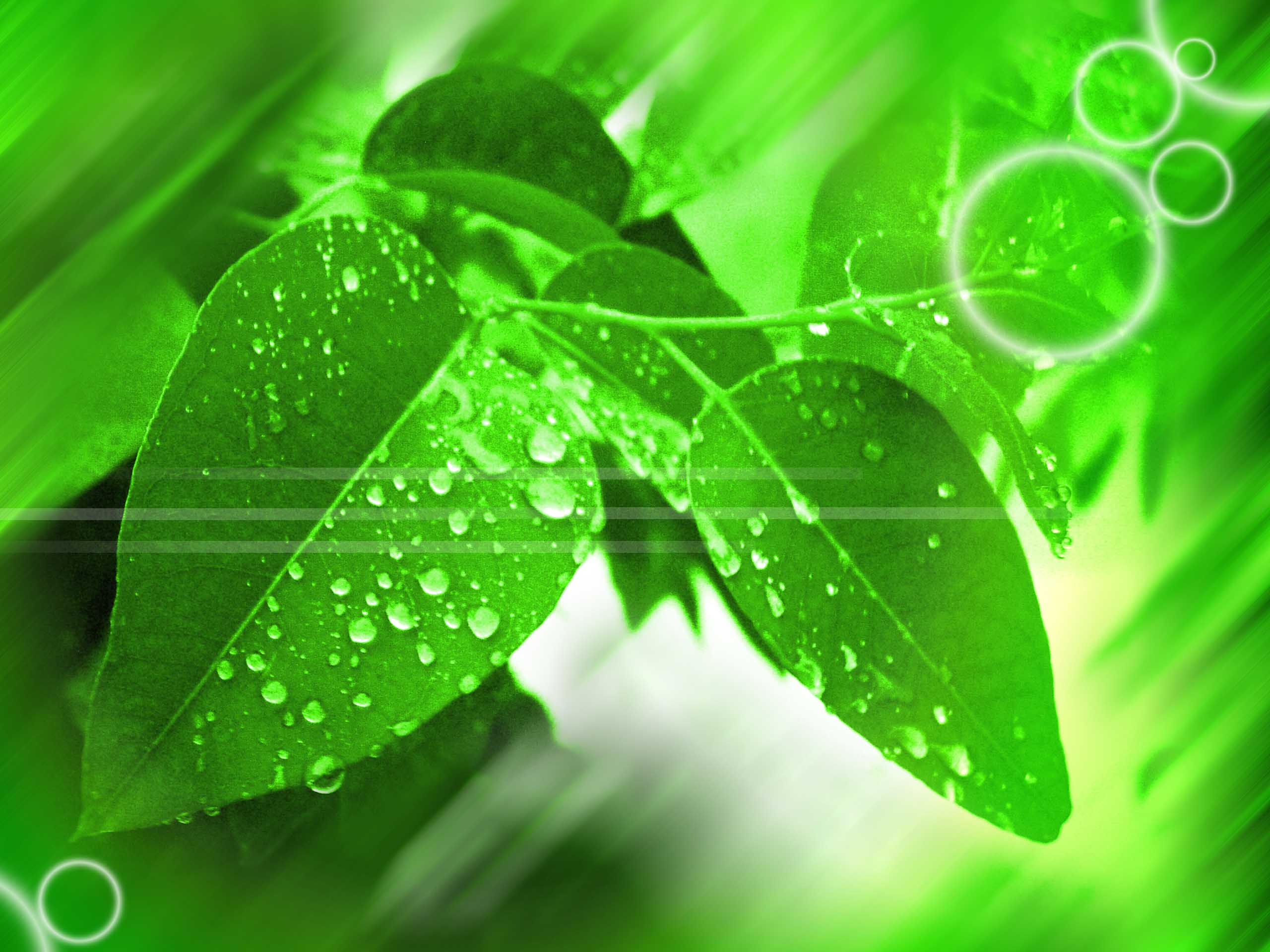 Osimy的个人主页（背景预览） - 主页背景设置 - 站酷设计师Osimy原创素材 - 站酷ZCOOL