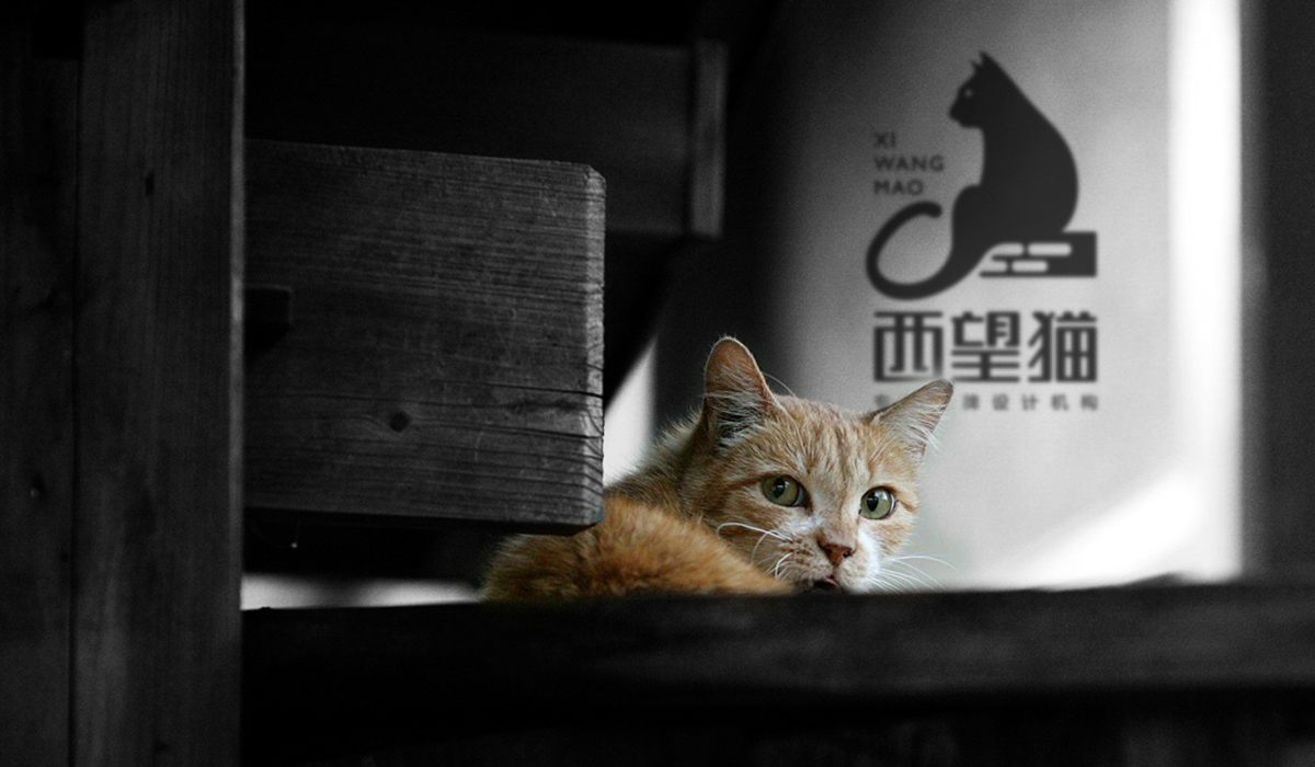 西望貓的個人主頁（背景預覽） - 主頁背景設(shè)置 - 站酷設(shè)計師西望貓原創(chuàng)素材 - 站酷ZCOOL