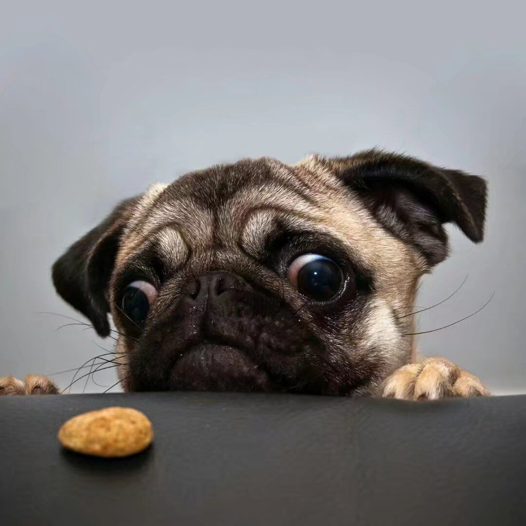 歘歘歘的個人主頁（背景預(yù)覽） - 主頁背景設(shè)置 - 站酷設(shè)計師歘歘歘原創(chuàng)素材 - 站酷ZCOOL