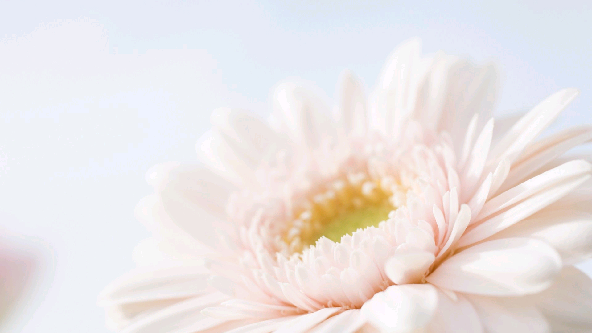 洛克仙妮的個(gè)人主頁(yè)（背景預(yù)覽） - 主頁(yè)背景設(shè)置 - 站酷設(shè)計(jì)師洛克仙妮原創(chuàng)素材 - 站酷ZCOOL