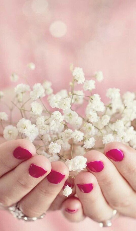 Cerasua的个人主页（背景预览） - 主页背景设置 - 站酷设计师Cerasua原创素材 - 站酷ZCOOL