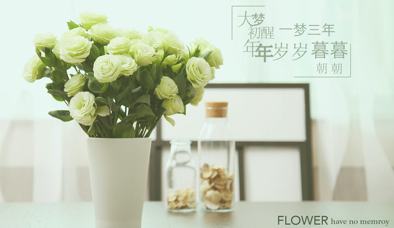 犹爆琵琶的个人主页（背景预览） - 主页背景设置 - 站酷设计师犹爆琵琶原创素材 - 站酷ZCOOL
