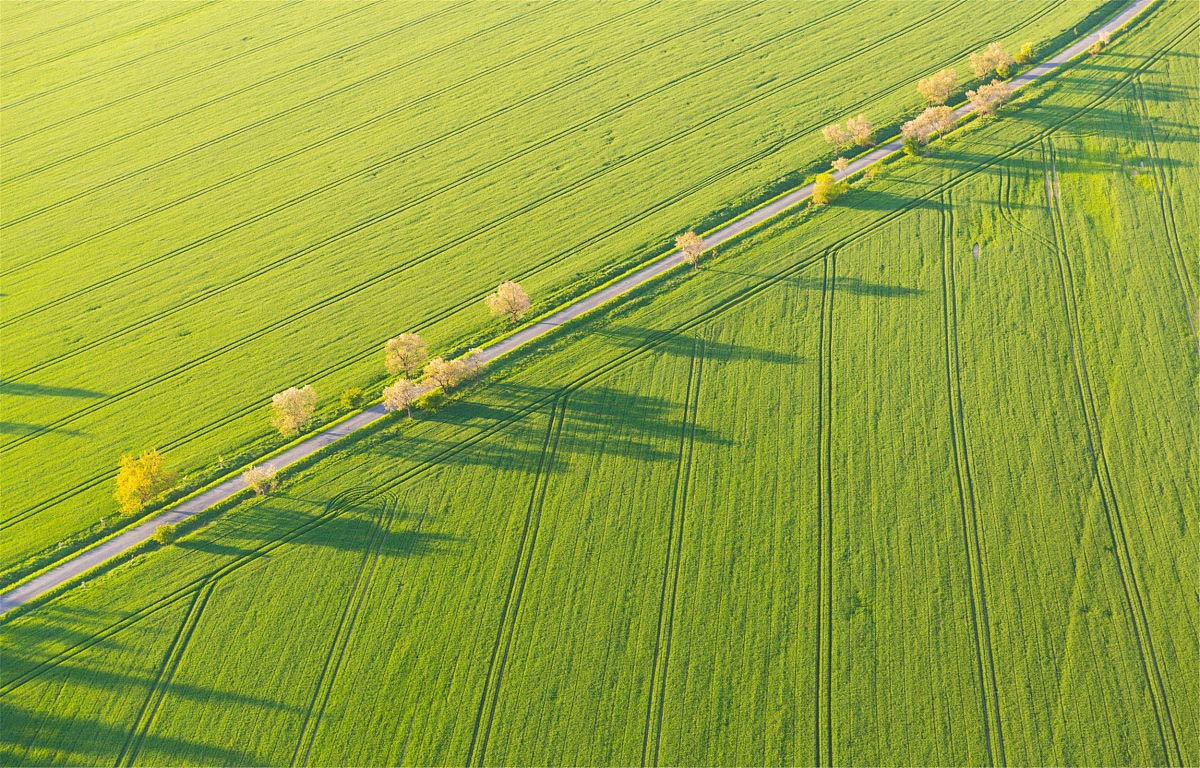 暑夏的个人主页（背景预览） - 主页背景设置 - 站酷设计师暑夏原创素材 - 站酷ZCOOL