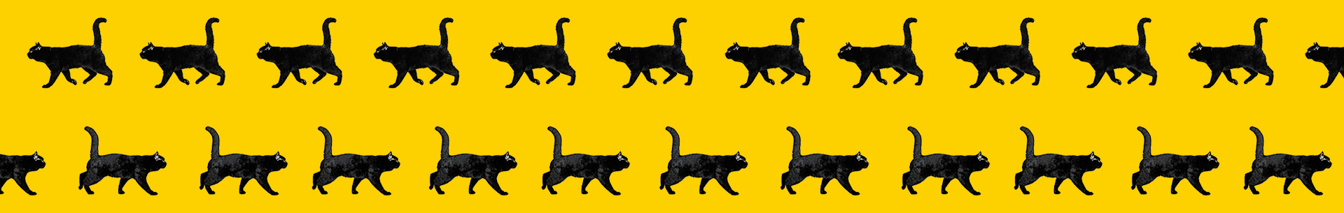 TernNe_的个人主页（背景预览） - 主页背景设置 - 站酷设计师TernNe_原创素材 - 站酷ZCOOL