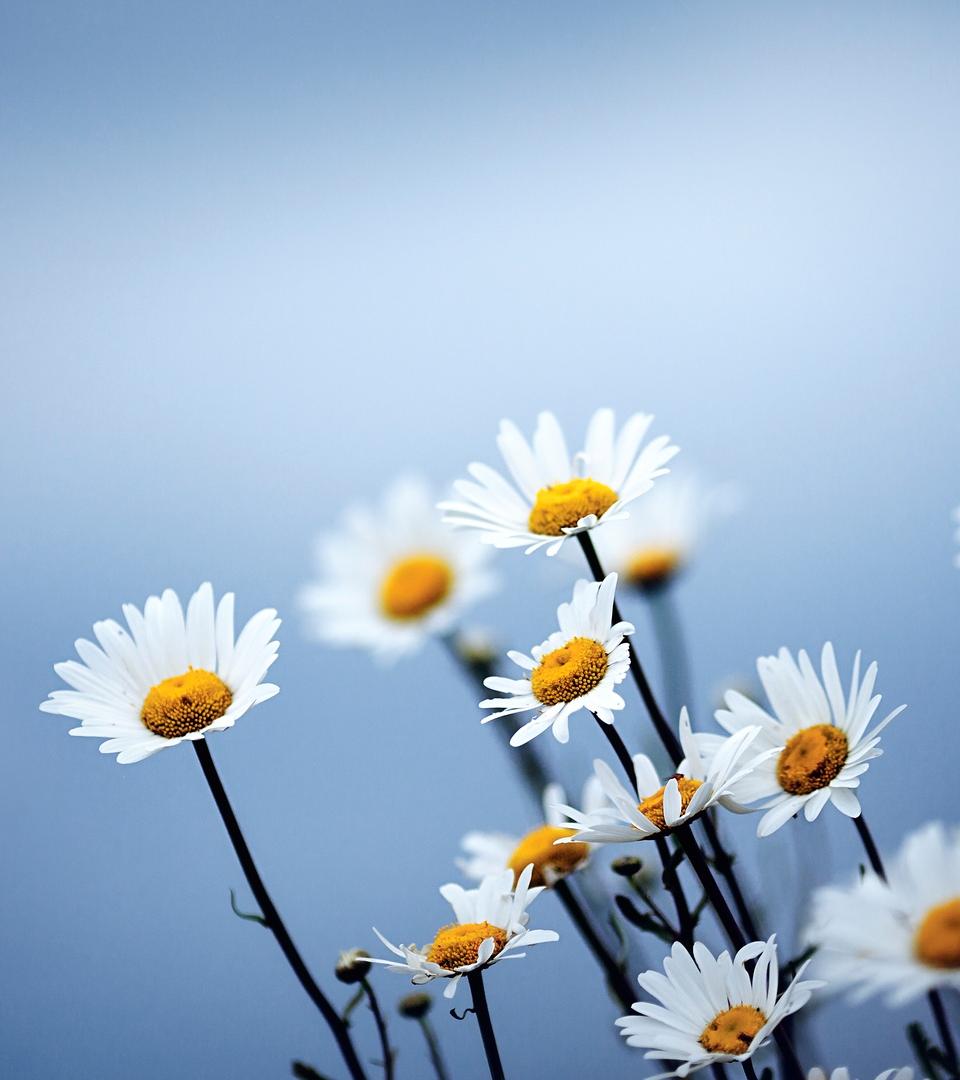 tuzijin的個(gè)人主頁（背景預(yù)覽） - 主頁背景設(shè)置 - 站酷設(shè)計(jì)師tuzijin原創(chuàng)素材 - 站酷ZCOOL