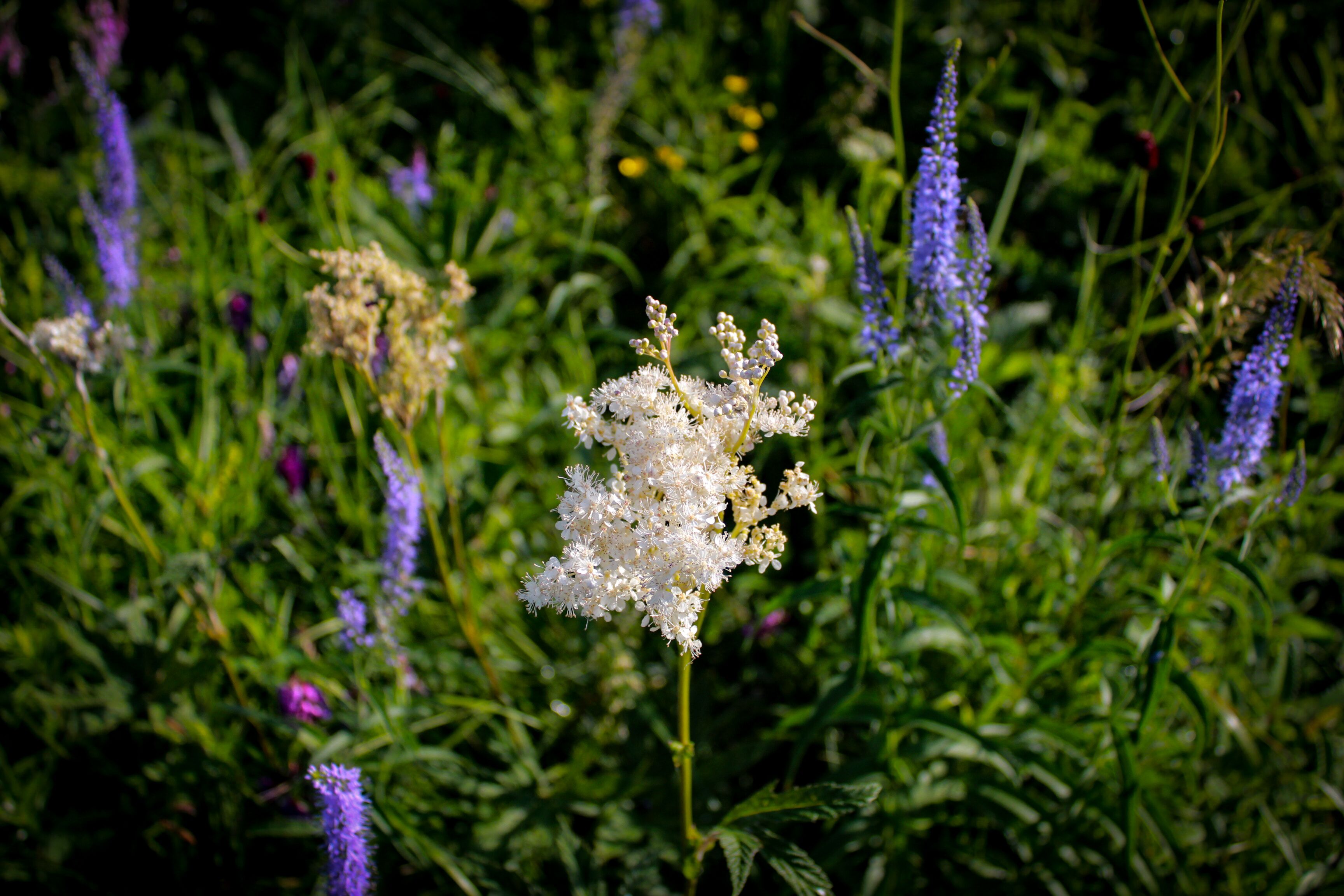 若相惜丶的个人主页（背景预览） - 主页背景设置 - 站酷设计师若相惜丶原创素材 - 站酷ZCOOL