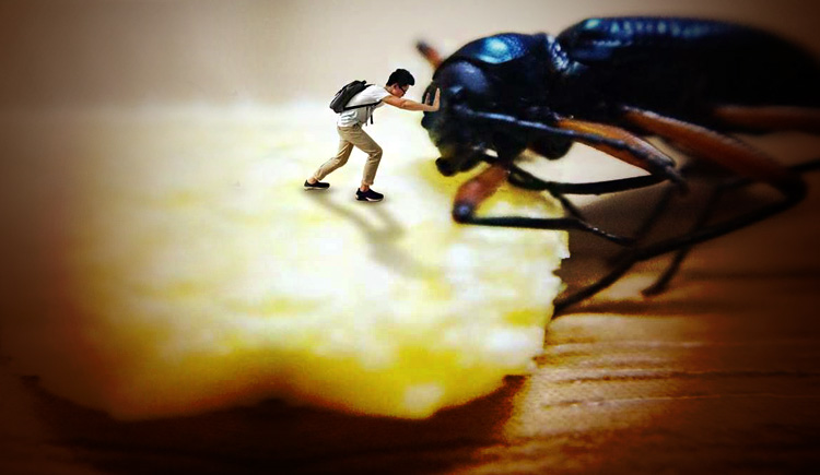 zonhold_zhi的个人主页（背景预览） - 主页背景设置 - 站酷设计师zonhold_zhi原创素材 - 站酷ZCOOL