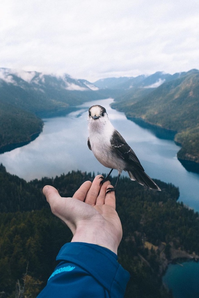 張斌的個人主頁（背景預覽） - 主頁背景設置 - 站酷設計師張斌原創(chuàng)素材 - 站酷ZCOOL