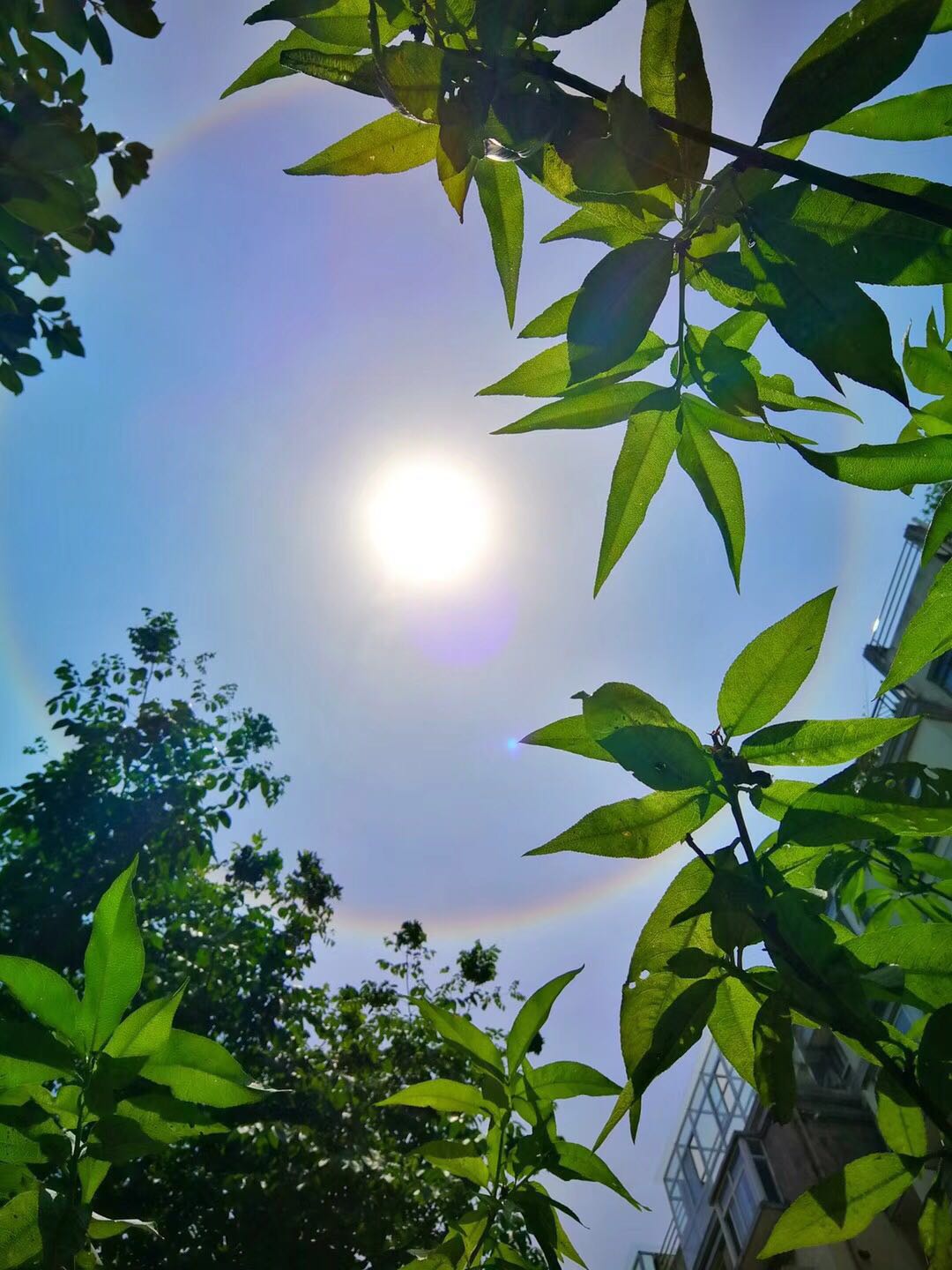 儿童读物管理员的个人主页（背景预览） - 主页背景设置 - 站酷设计师儿童读物管理员原创素材 - 站酷ZCOOL