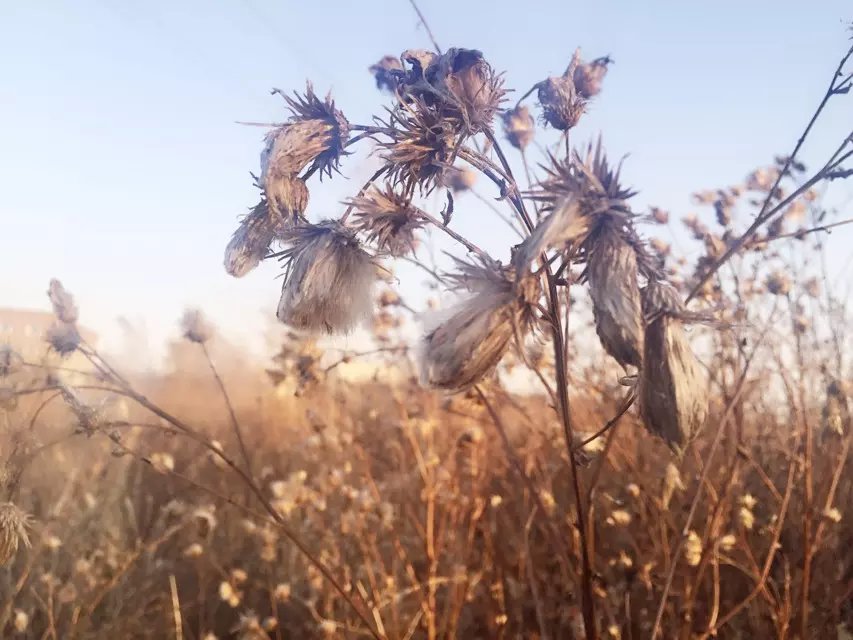 于小贝的个人主页（背景预览） - 主页背景设置 - 站酷设计师于小贝原创素材 - 站酷ZCOOL