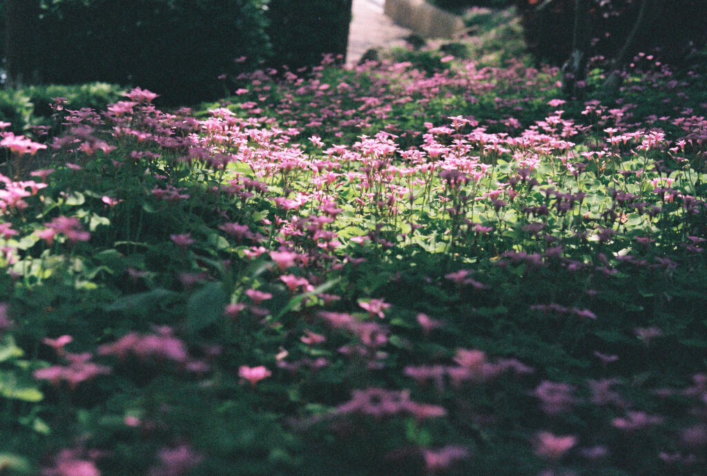 十八线摄影师芥末的个人主页（背景预览） - 主页背景设置 - 站酷设计师十八线摄影师芥末原创素材 - 站酷ZCOOL