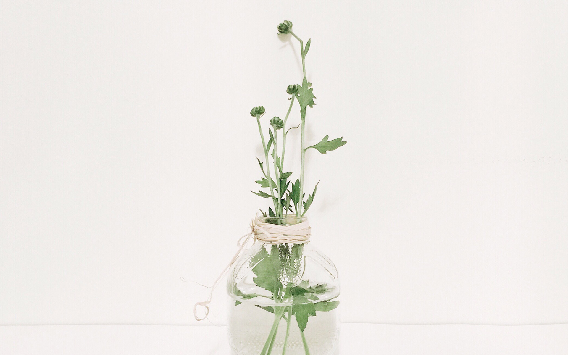 Celadon的個(gè)人主頁(yè)（背景預(yù)覽） - 主頁(yè)背景設(shè)置 - 站酷設(shè)計(jì)師Celadon原創(chuàng)素材 - 站酷ZCOOL