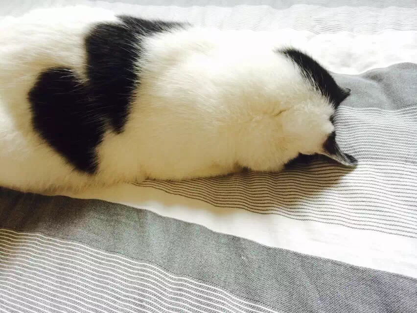 了了_HOLIDAY的个人主页（背景预览） - 主页背景设置 - 站酷设计师了了_HOLIDAY原创素材 - 站酷ZCOOL