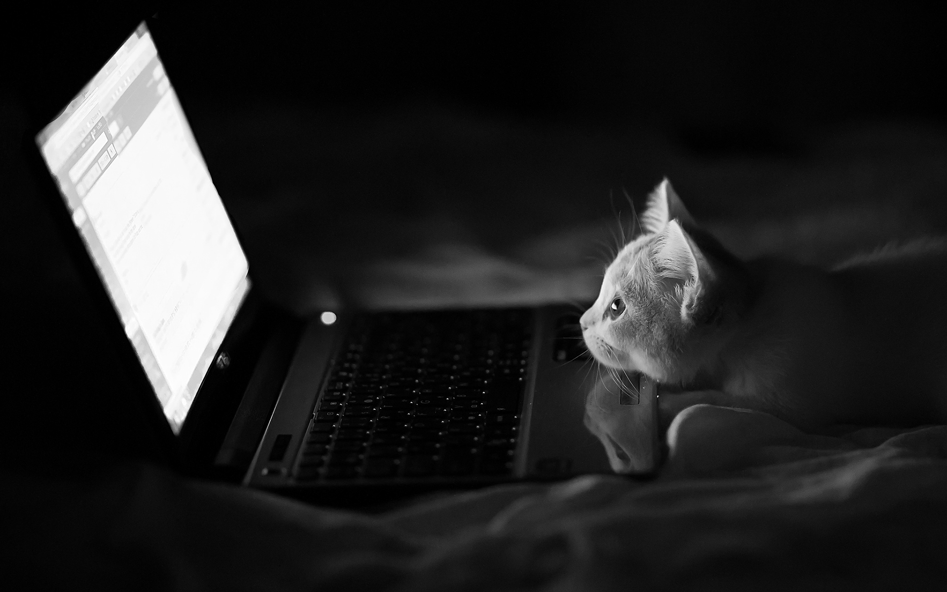 林小猴儿的个人主页（背景预览） - 主页背景设置 - 站酷设计师林小猴儿原创素材 - 站酷ZCOOL