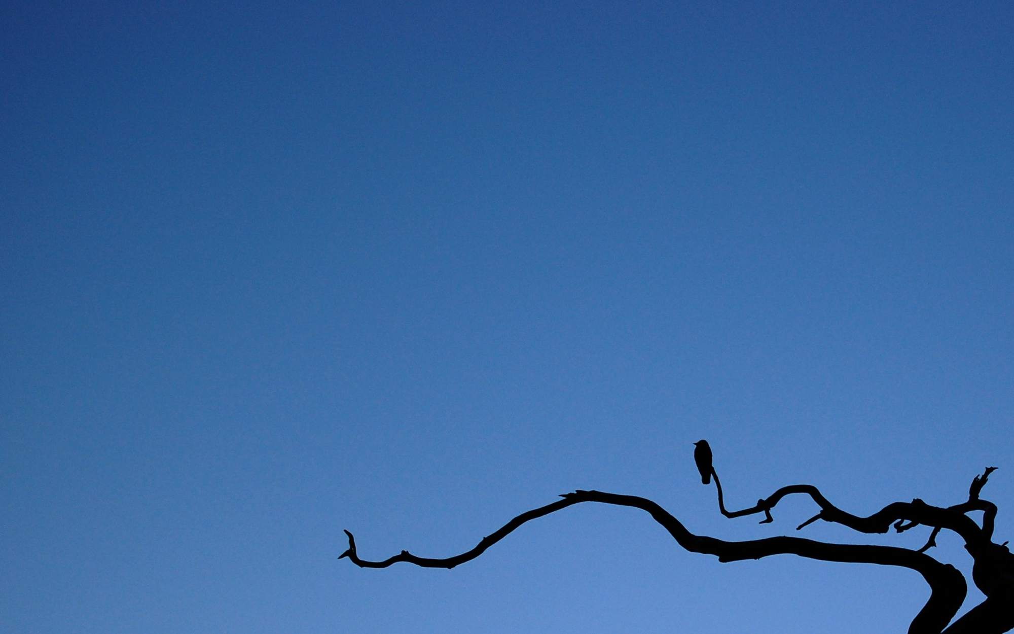 wmself的個(gè)人主頁(yè)（背景預(yù)覽） - 主頁(yè)背景設(shè)置 - 站酷設(shè)計(jì)師wmself原創(chuàng)素材 - 站酷ZCOOL