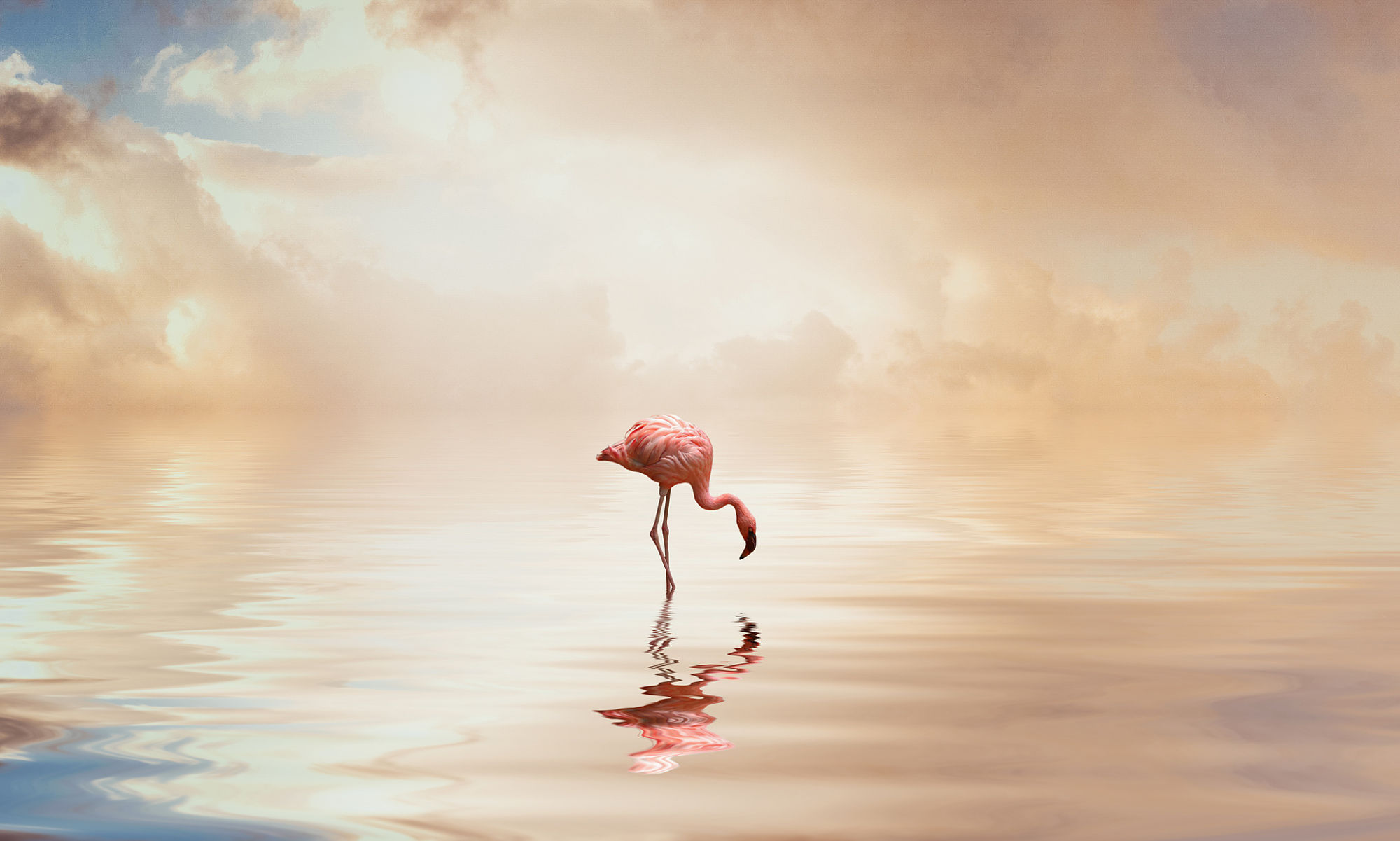 c_una的个人主页（背景预览） - 主页背景设置 - 站酷设计师c_una原创素材 - 站酷ZCOOL