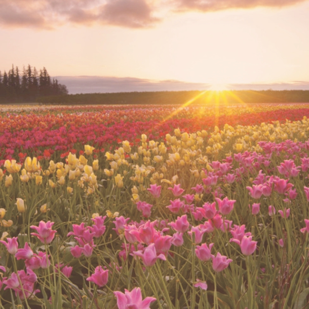 兔崽吖的个人主页（背景预览） - 主页背景设置 - 站酷设计师兔崽吖原创素材 - 站酷ZCOOL