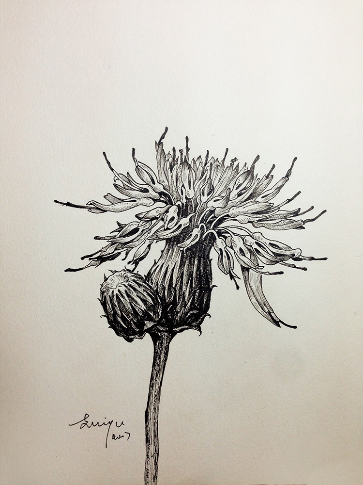 時雨美術RAINART的個人主頁（背景預覽） - 主頁背景設置 - 站酷設計師時雨美術RAINART原創(chuàng)素材 - 站酷ZCOOL