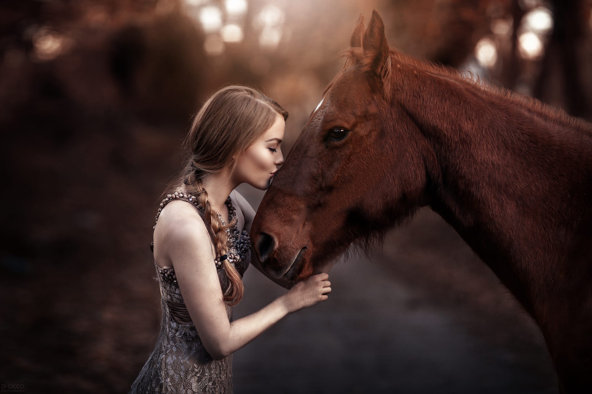 奔跑的大块头的个人主页（背景预览） - 主页背景设置 - 站酷设计师奔跑的大块头原创素材 - 站酷ZCOOL