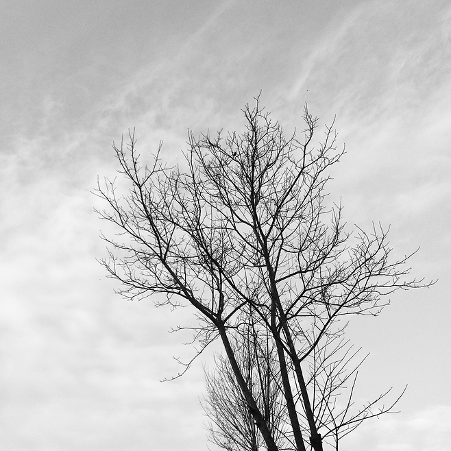 怿璞YP的个人主页（背景预览） - 主页背景设置 - 站酷设计师怿璞YP原创素材 - 站酷ZCOOL