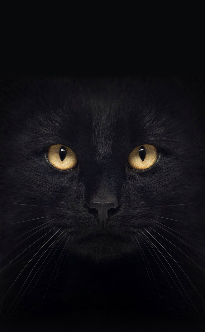 拾荒小鹿菌的個(gè)人主頁（背景預(yù)覽） - 主頁背景設(shè)置 - 站酷設(shè)計(jì)師拾荒小鹿菌原創(chuàng)素材 - 站酷ZCOOL