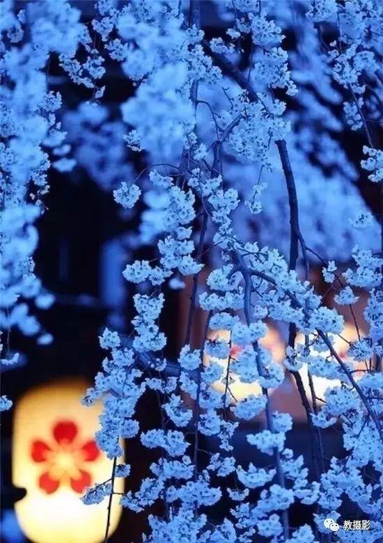 sky1130的个人主页（背景预览） - 主页背景设置 - 站酷设计师sky1130原创素材 - 站酷ZCOOL