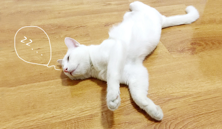 WeakTea_11的個(gè)人主頁(yè)（背景預(yù)覽） - 主頁(yè)背景設(shè)置 - 站酷設(shè)計(jì)師WeakTea_11原創(chuàng)素材 - 站酷ZCOOL