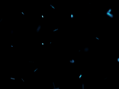 追逐的Dream的个人主页（背景预览） - 主页背景设置 - 站酷设计师追逐的Dream原创素材 - 站酷ZCOOL