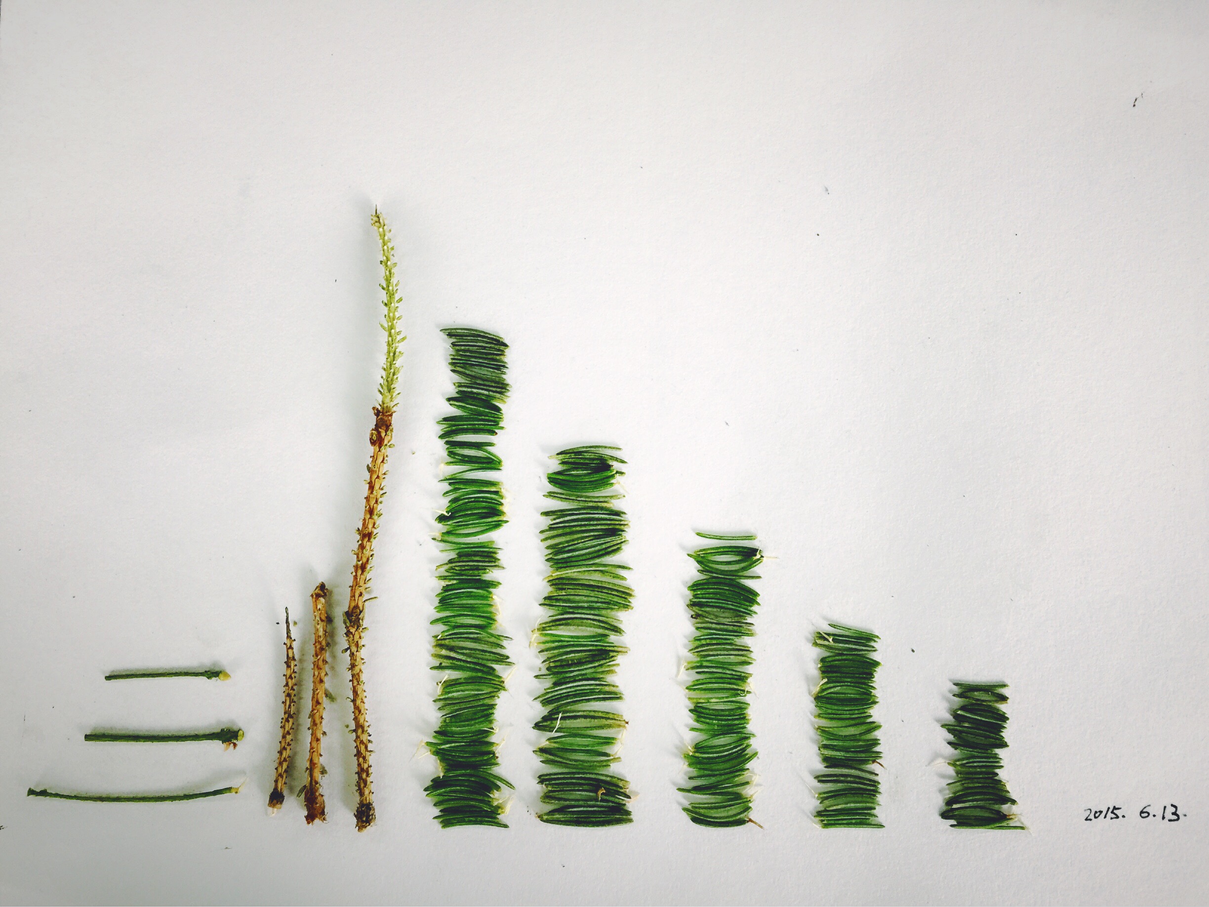 hy8245985的个人主页（背景预览） - 主页背景设置 - 站酷设计师hy8245985原创素材 - 站酷ZCOOL