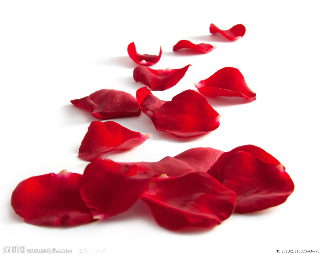 Supper陸的個(gè)人主頁(yè)（背景預(yù)覽） - 主頁(yè)背景設(shè)置 - 站酷設(shè)計(jì)師Supper陸原創(chuàng)素材 - 站酷ZCOOL