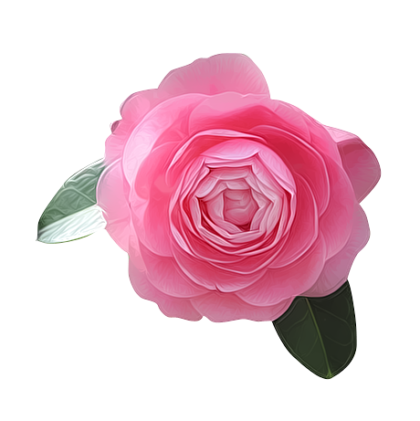 禾禾火的個人主頁（背景預覽） - 主頁背景設置 - 站酷設計師禾禾火原創(chuàng)素材 - 站酷ZCOOL