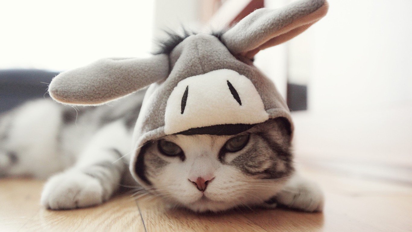 芒果摩奇的个人主页（背景预览） - 主页背景设置 - 站酷设计师芒果摩奇原创素材 - 站酷ZCOOL