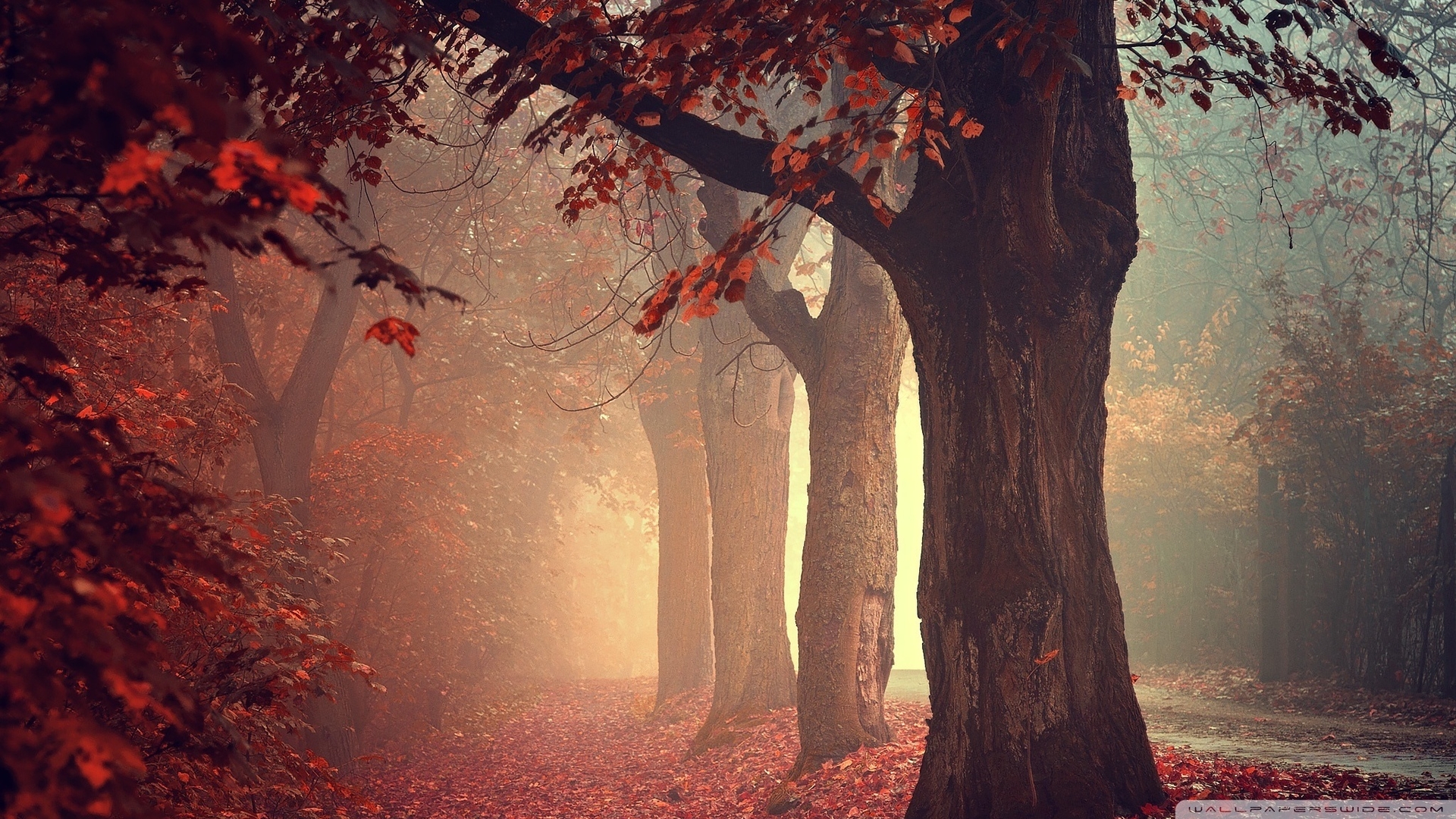 小漞的個人主頁（背景預覽） - 主頁背景設置 - 站酷設計師小漞原創(chuàng)素材 - 站酷ZCOOL