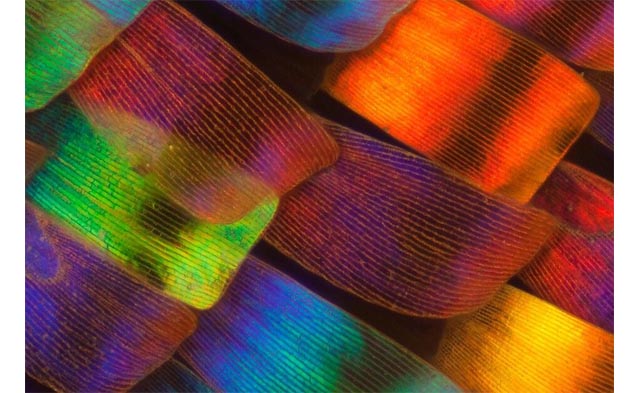 michael1109的個人主頁（背景預(yù)覽） - 主頁背景設(shè)置 - 站酷設(shè)計師michael1109原創(chuàng)素材 - 站酷ZCOOL