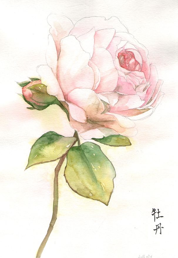 o善良是我本性o的个人主页（背景预览） - 主页背景设置 - 站酷设计师o善良是我本性o原创素材 - 站酷ZCOOL