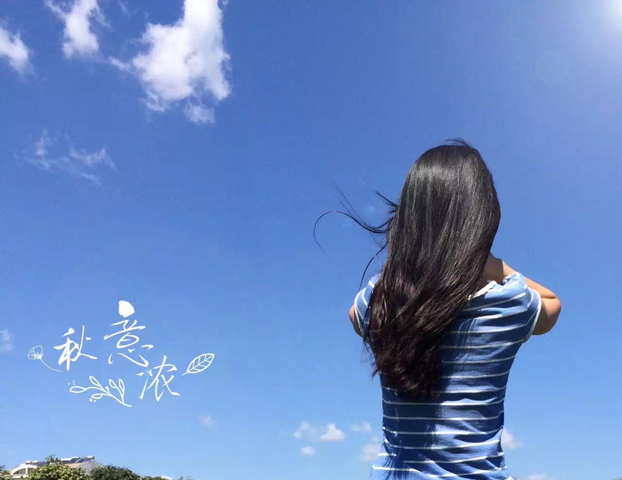 寒烟微凉Oo的个人主页（背景预览） - 主页背景设置 - 站酷设计师寒烟微凉Oo原创素材 - 站酷ZCOOL