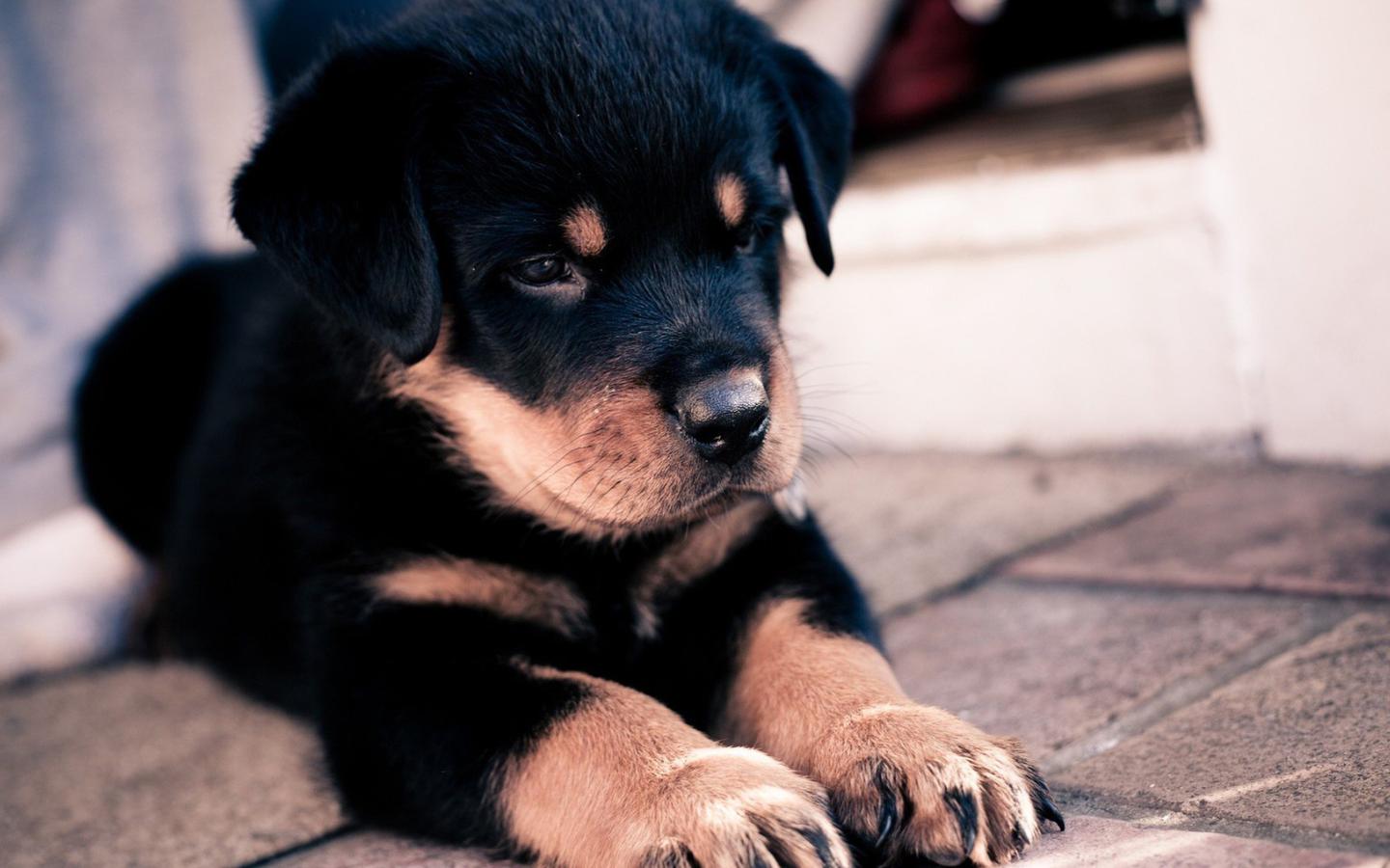 南城荒凉北城殇的个人主页（背景预览） - 主页背景设置 - 站酷设计师南城荒凉北城殇原创素材 - 站酷ZCOOL