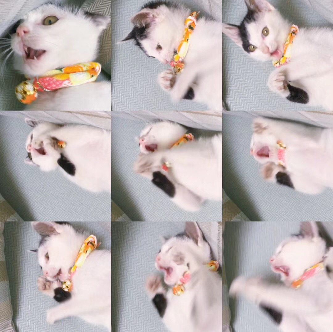 宣彤在画画的个人主页（背景预览） - 主页背景设置 - 站酷设计师宣彤在画画原创素材 - 站酷ZCOOL