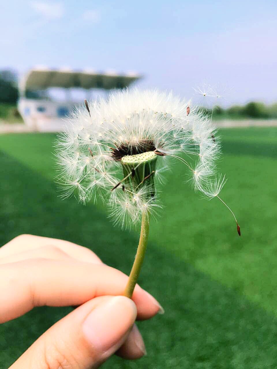 致愛笑的我的個(gè)人主頁（背景預(yù)覽） - 主頁背景設(shè)置 - 站酷設(shè)計(jì)師致愛笑的我原創(chuàng)素材 - 站酷ZCOOL