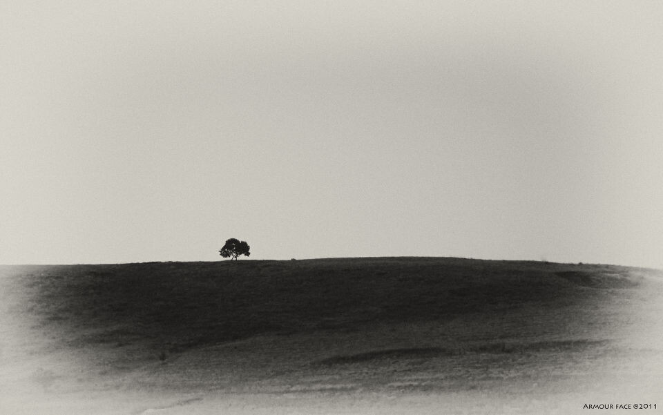 场景师Malcolm的个人主页（背景预览） - 主页背景设置 - 站酷设计师场景师Malcolm原创素材 - 站酷ZCOOL