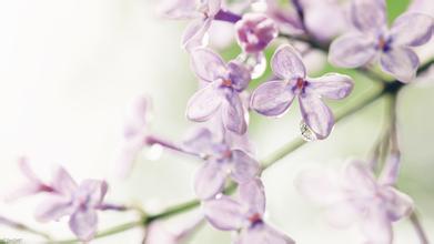 山水一夢的個人主頁（背景預(yù)覽） - 主頁背景設(shè)置 - 站酷設(shè)計師山水一夢原創(chuàng)素材 - 站酷ZCOOL