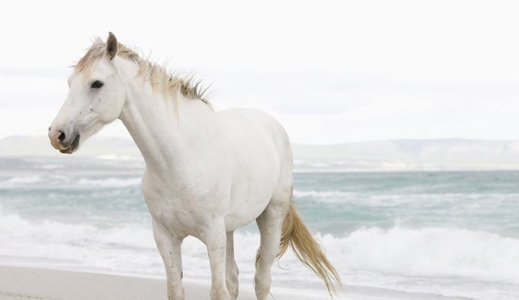 可言1990的个人主页（背景预览） - 主页背景设置 - 站酷设计师可言1990原创素材 - 站酷ZCOOL