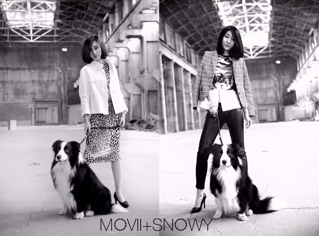 Ms摄影艺术的个人主页（背景预览） - 主页背景设置 - 站酷设计师Ms摄影艺术原创素材 - 站酷ZCOOL