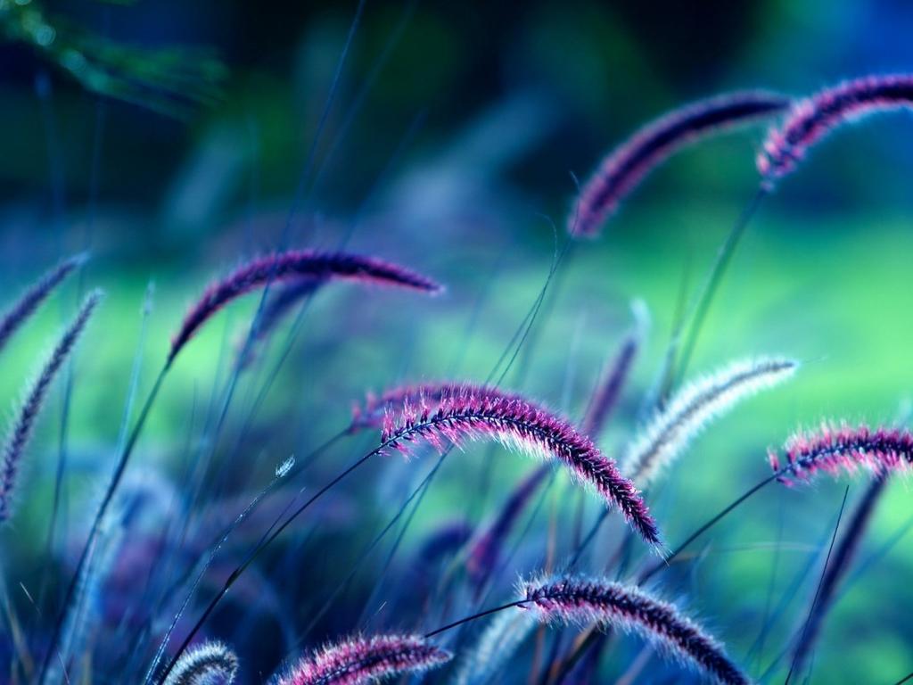 老夫的小咸鱼的个人主页（背景预览） - 主页背景设置 - 站酷设计师老夫的小咸鱼原创素材 - 站酷ZCOOL