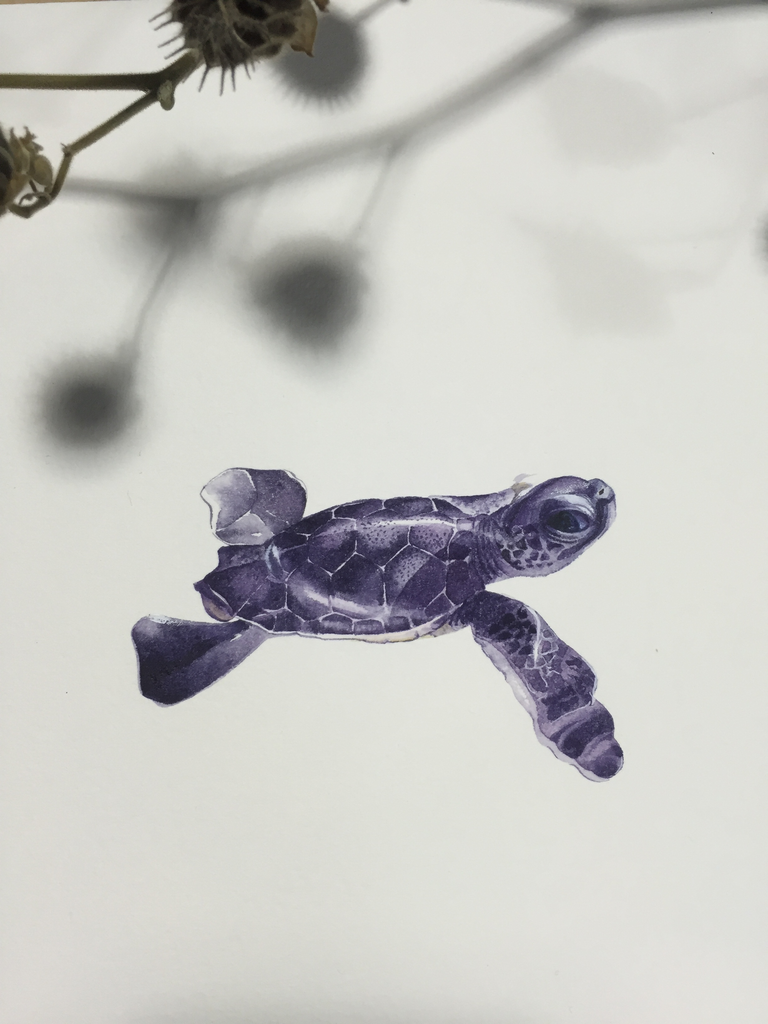 李李紙間萬物的個人主頁（背景預(yù)覽） - 主頁背景設(shè)置 - 站酷設(shè)計師李李紙間萬物原創(chuàng)素材 - 站酷ZCOOL