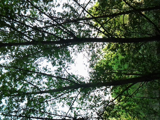 浪球先生的個人主頁（背景預覽） - 主頁背景設置 - 站酷設計師浪球先生原創(chuàng)素材 - 站酷ZCOOL