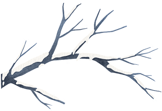 黑椒雞柳的個(gè)人主頁（背景預(yù)覽） - 主頁背景設(shè)置 - 站酷設(shè)計(jì)師黑椒雞柳原創(chuàng)素材 - 站酷ZCOOL