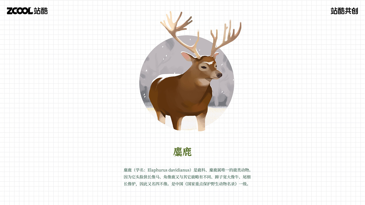 珍稀动物I插画I它们（图ZMzY1MTc3MjM2） - 艺术插画 - 站酷设计师小呱小呱原创素材 - 站酷ZCOOL